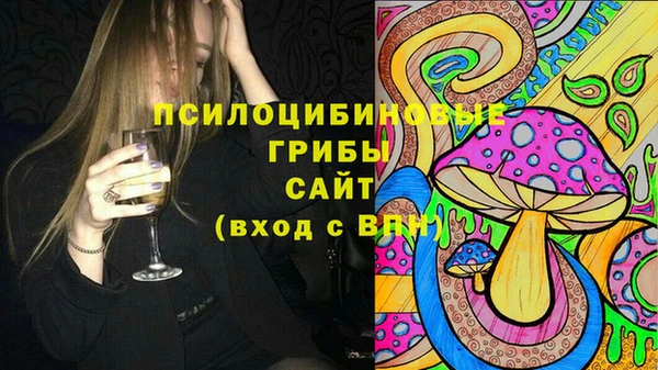 кристаллы Покачи
